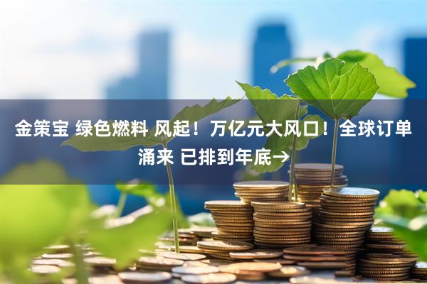 金策宝 绿色燃料 风起！万亿元大风口！全球订单涌来 已排到年底→