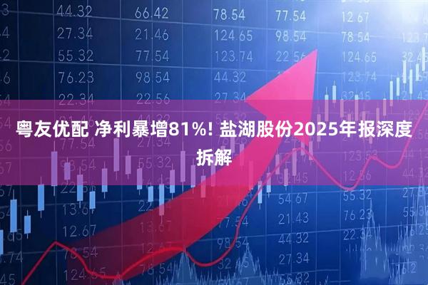 粤友优配 净利暴增81%! 盐湖股份2025年报深度拆解